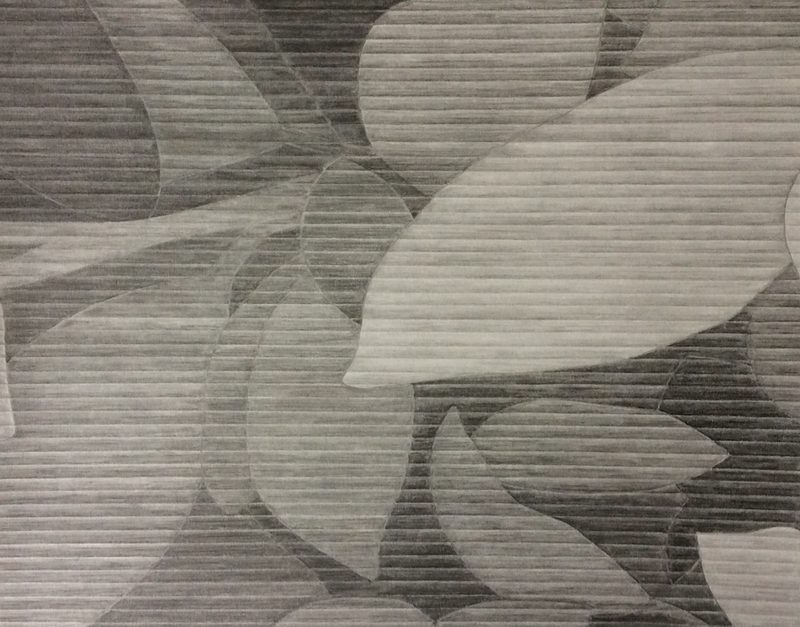black and white drawing of plants
