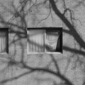 photo of a building with shadow from a tree